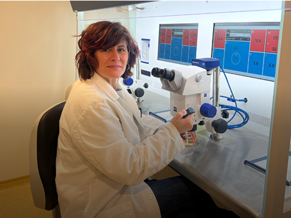 Captura de pantalla 2025-05-12 024810